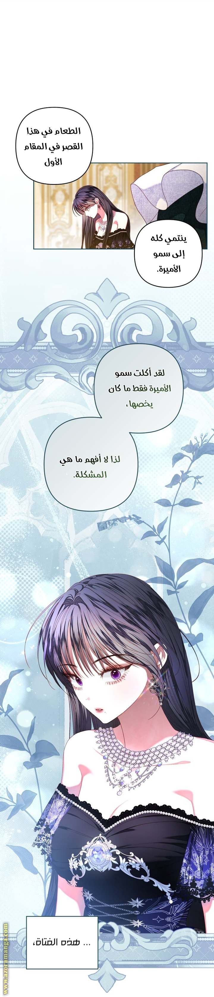 الصفحة 27