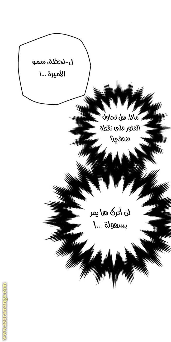 الصفحة 29