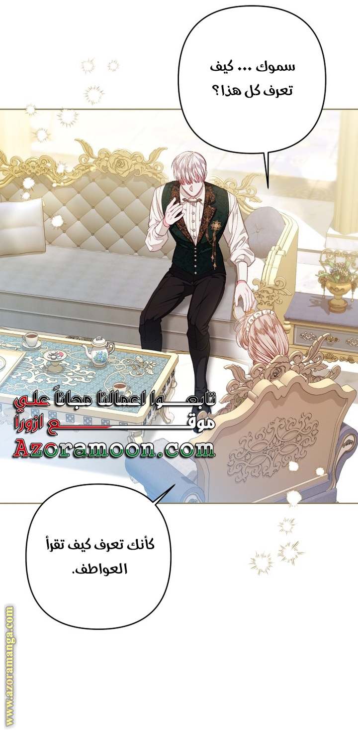 الصفحة 17