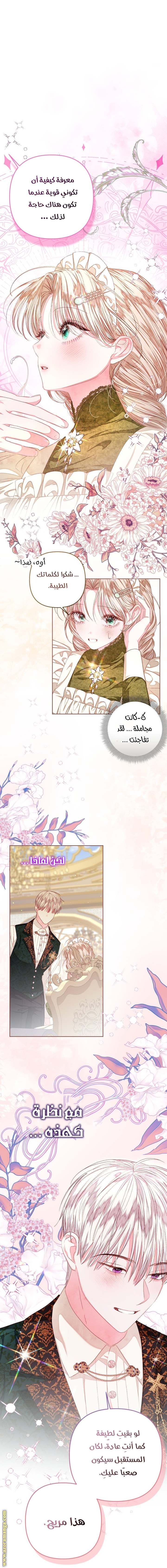 الصفحة 25