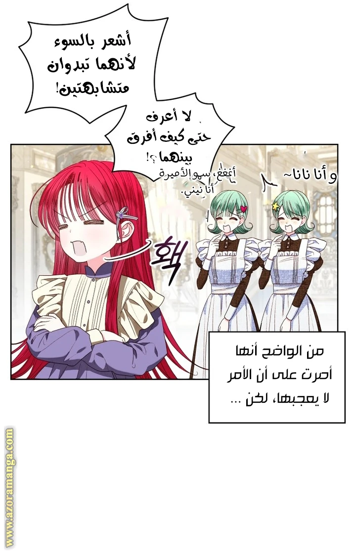 الصفحة 17