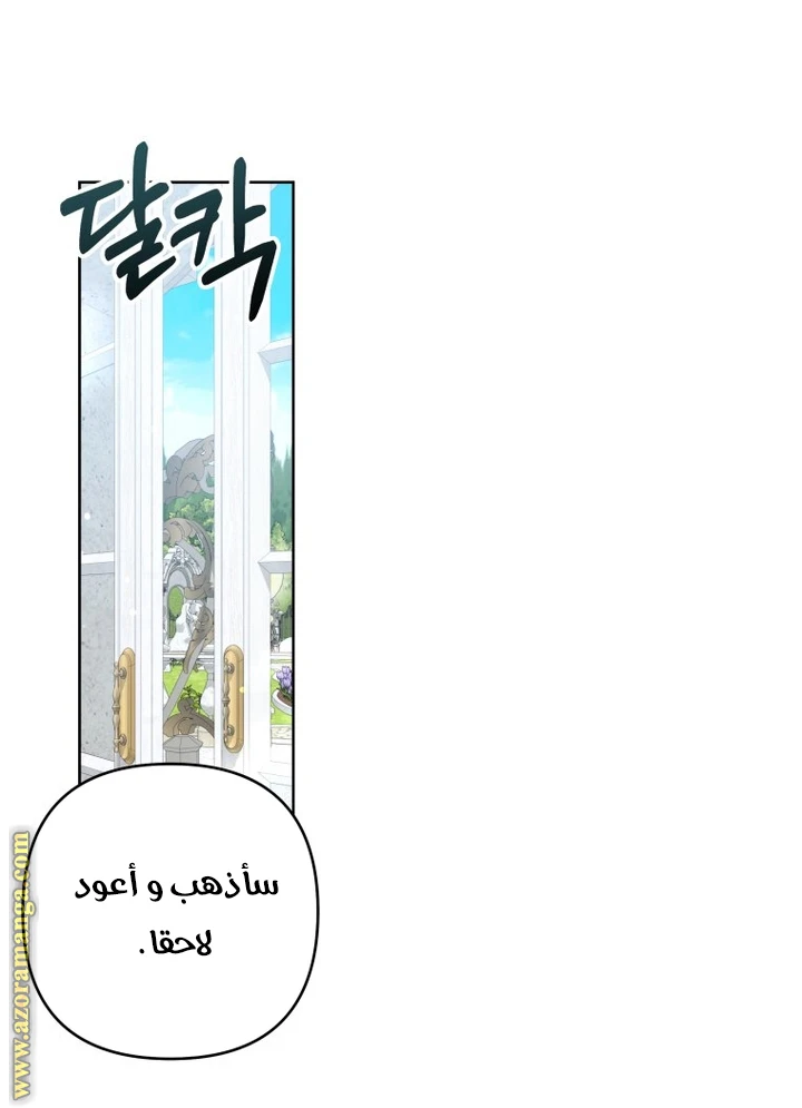 الصفحة 21