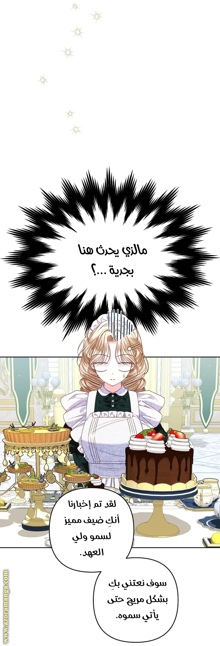 الصفحة 24