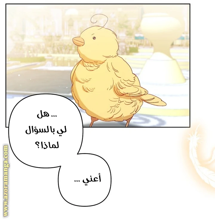 الصفحة 39