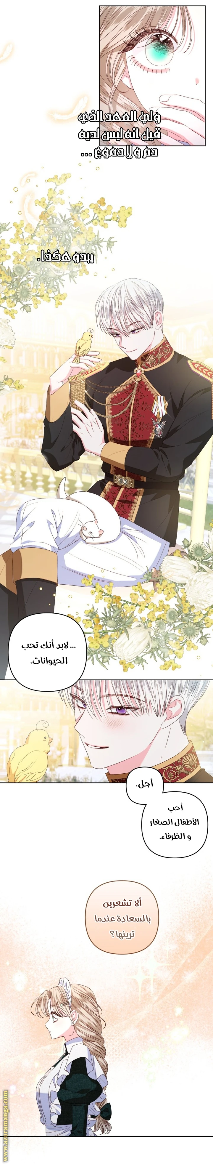 الصفحة 41