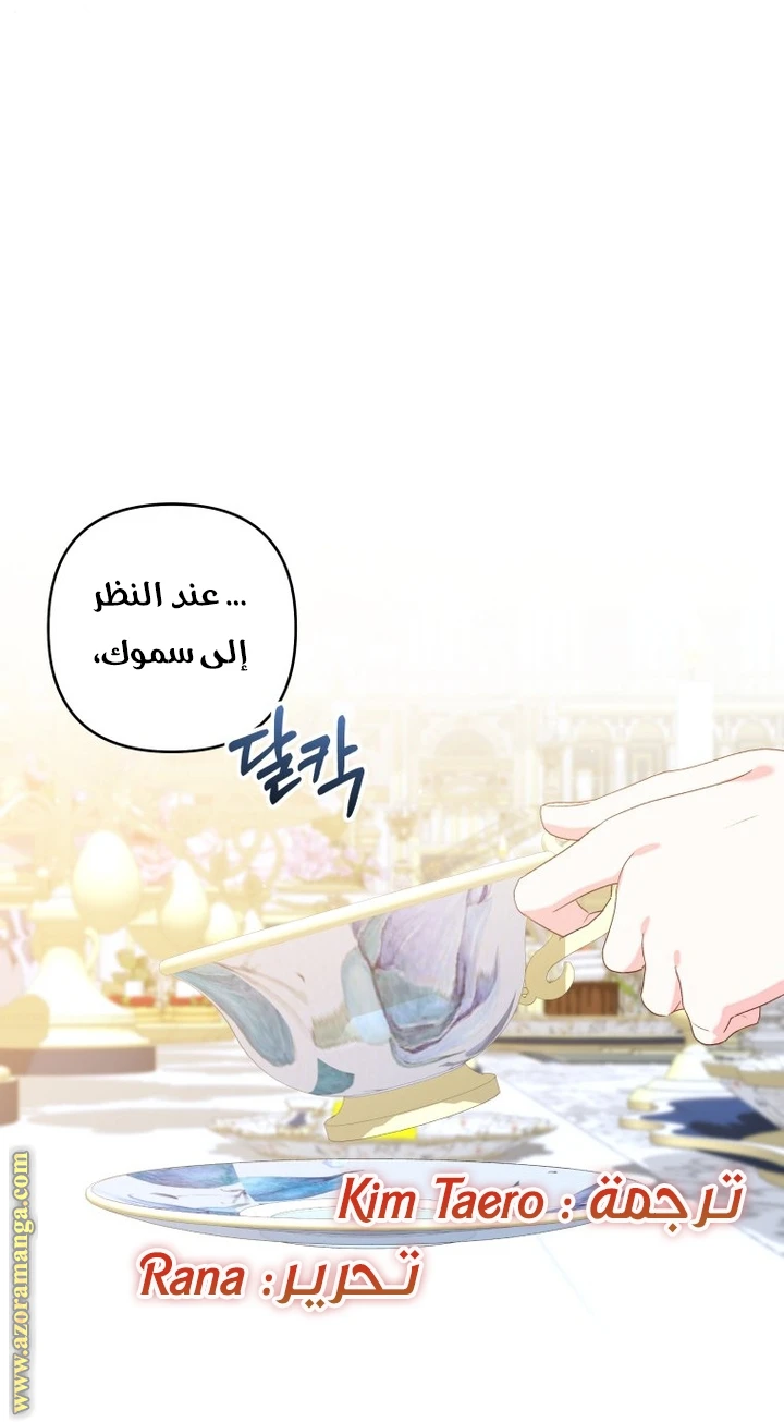 الصفحة 42