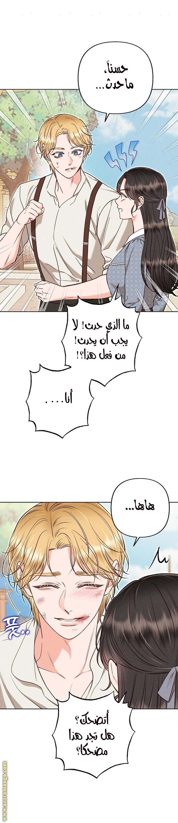 الصفحة 13