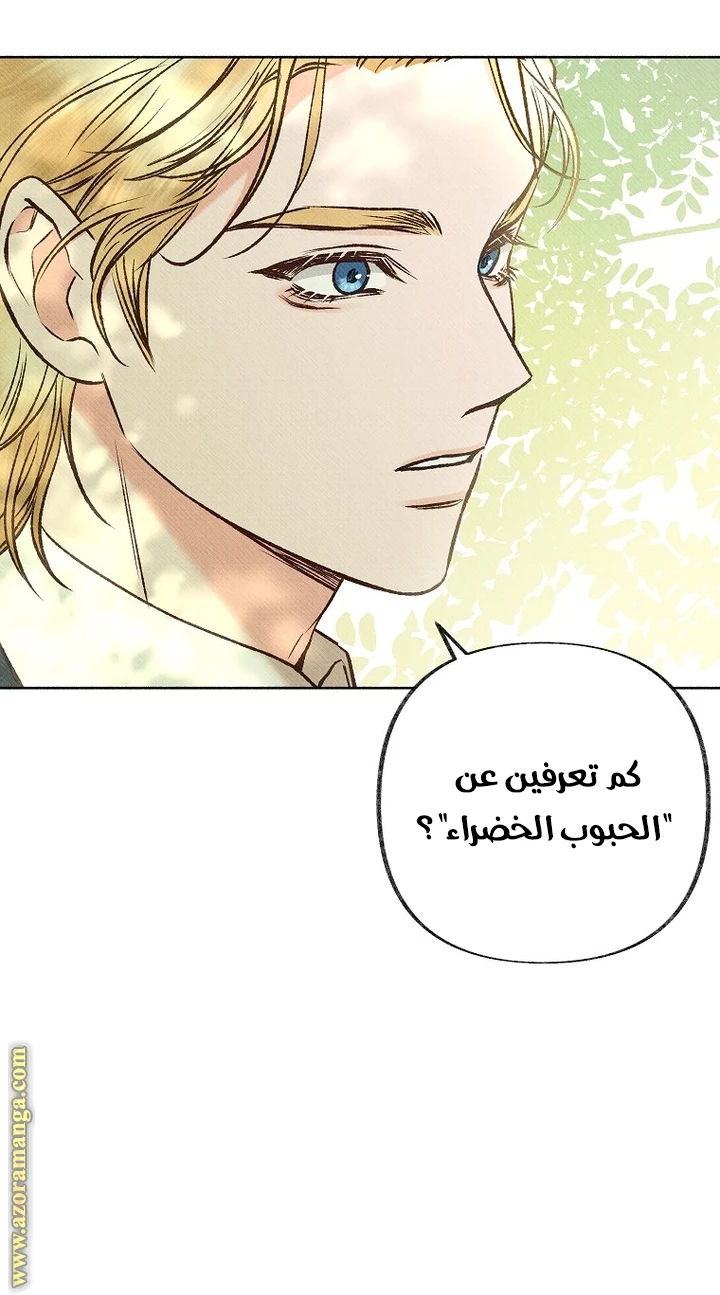 الصفحة 31