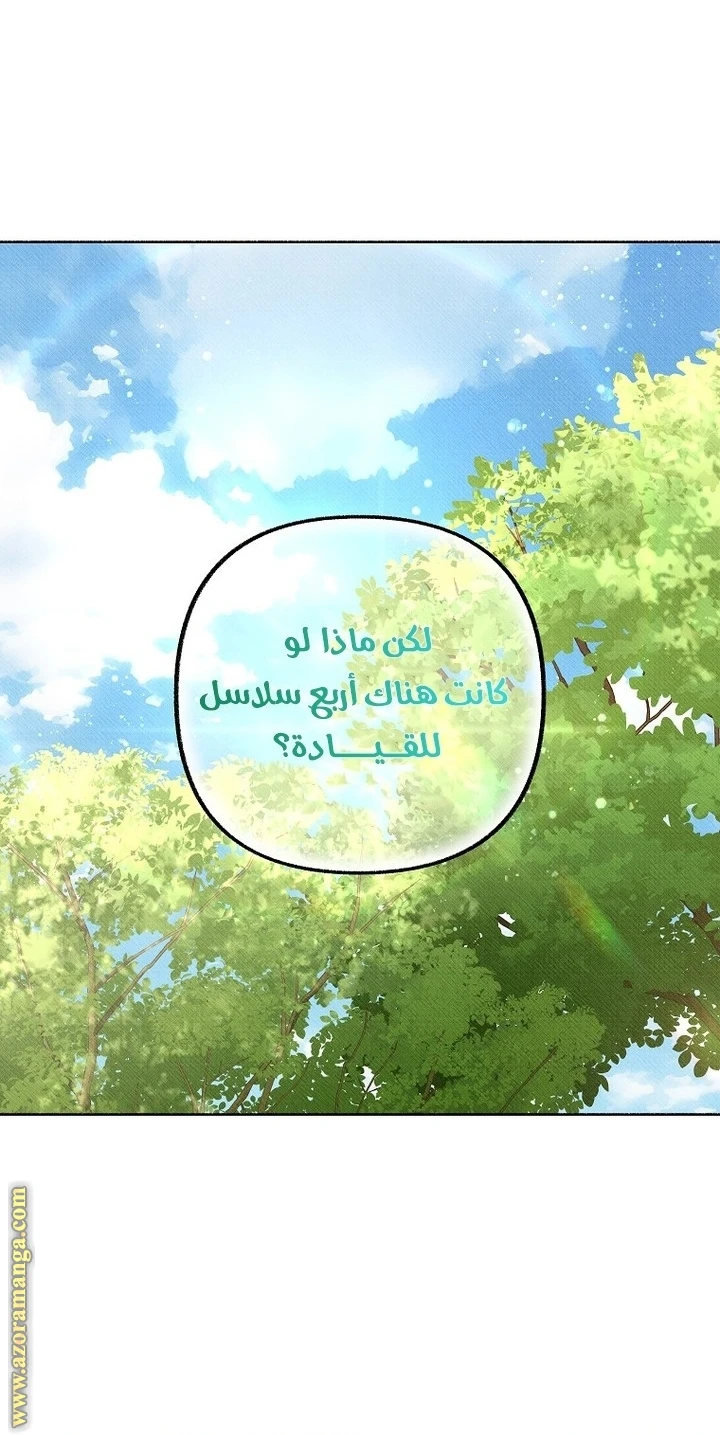 الصفحة 49