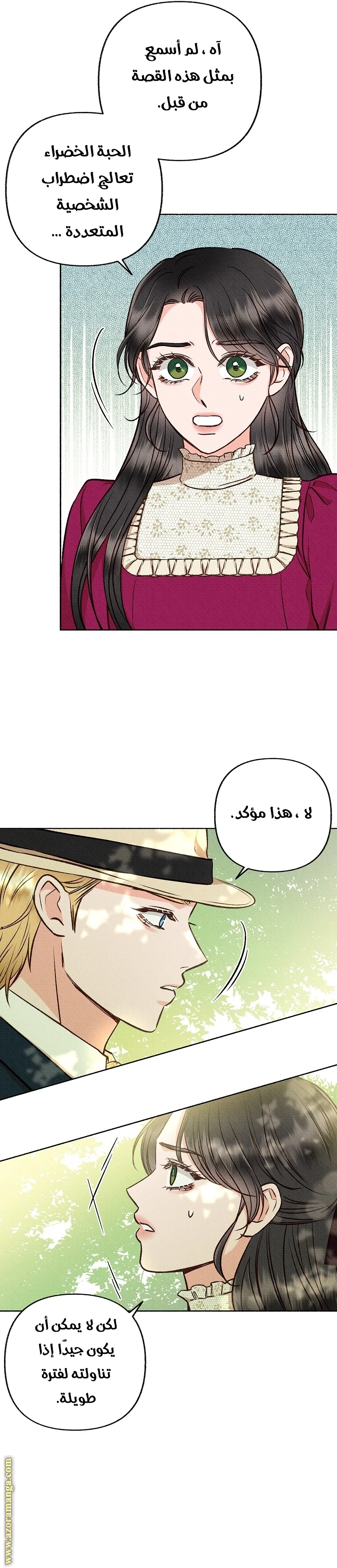 الصفحة 29