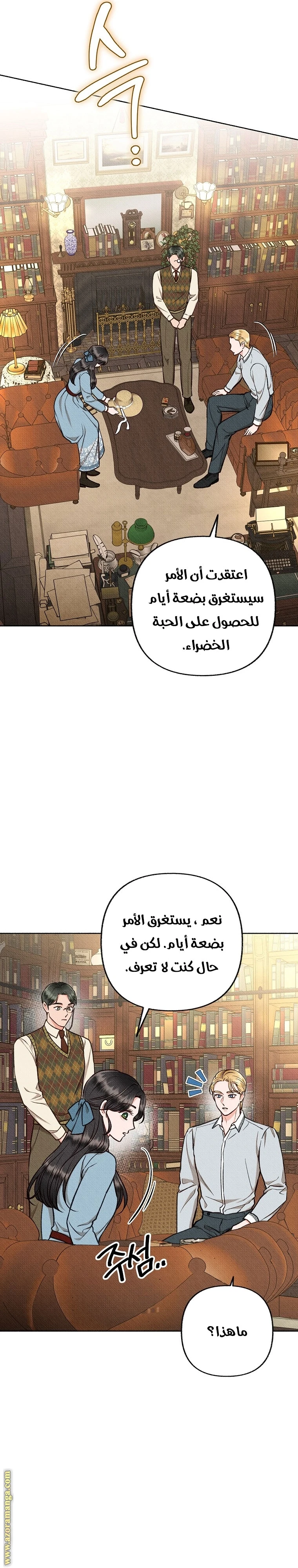 الصفحة 14