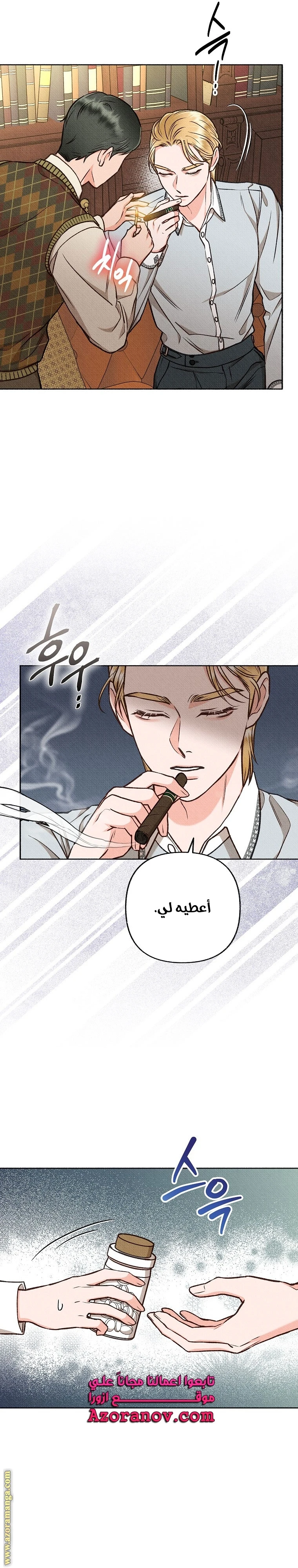 الصفحة 17