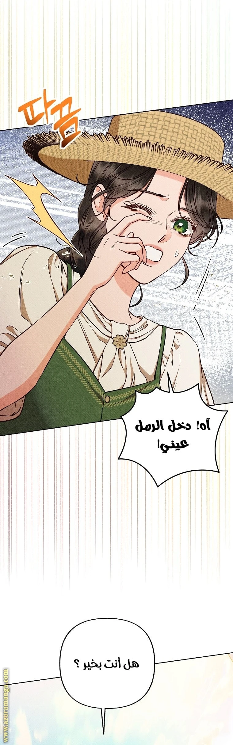 الصفحة 12