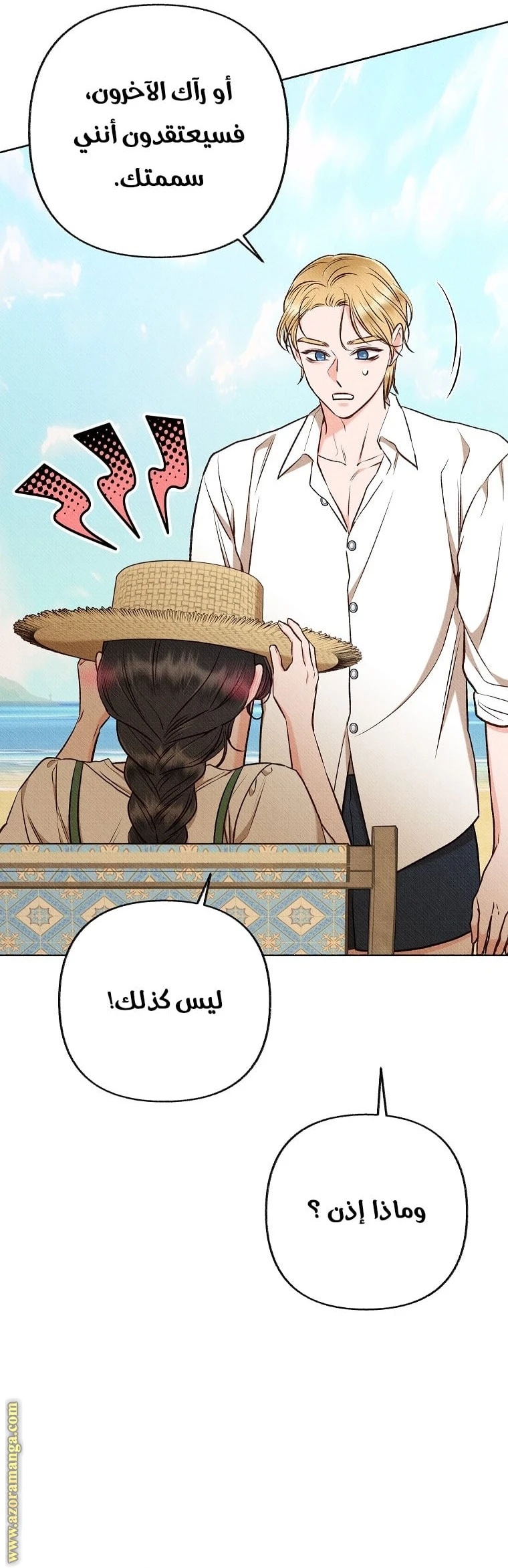 الصفحة 17