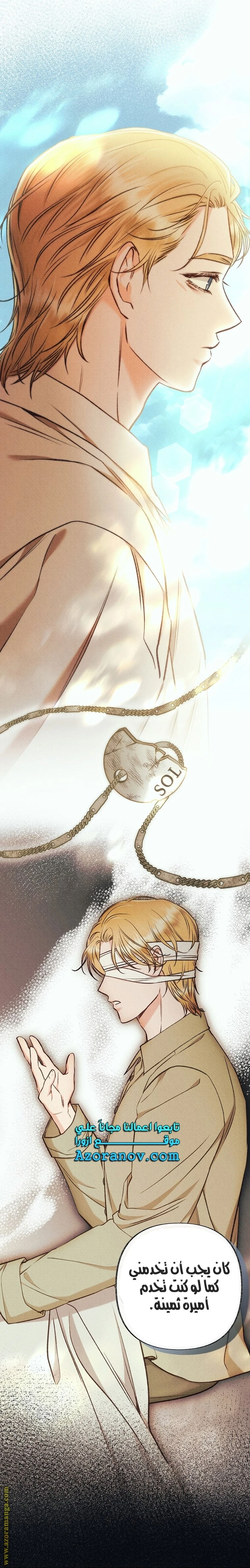 الصفحة 26