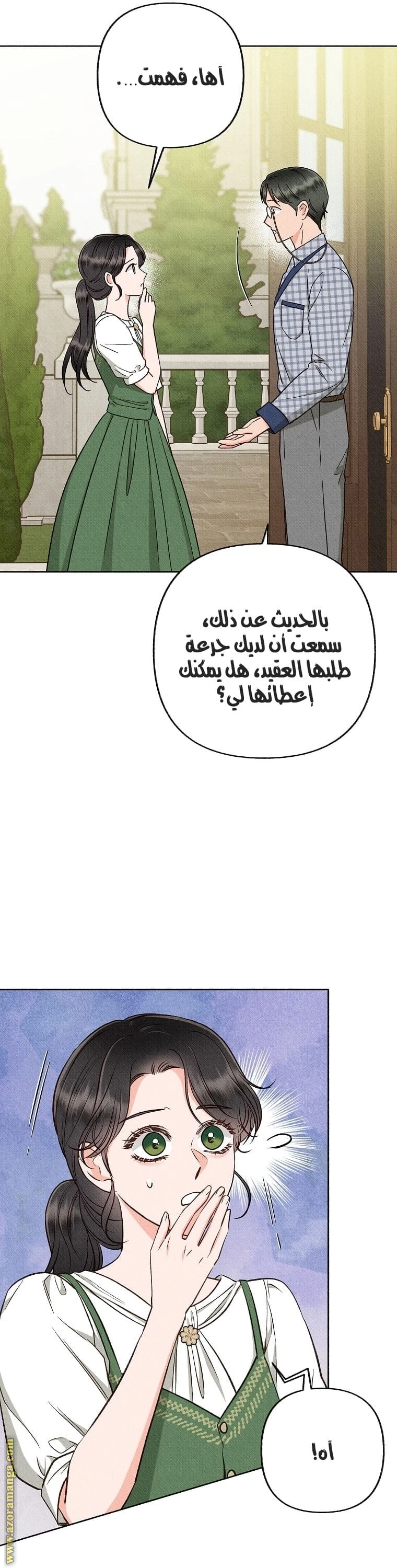 الصفحة 11