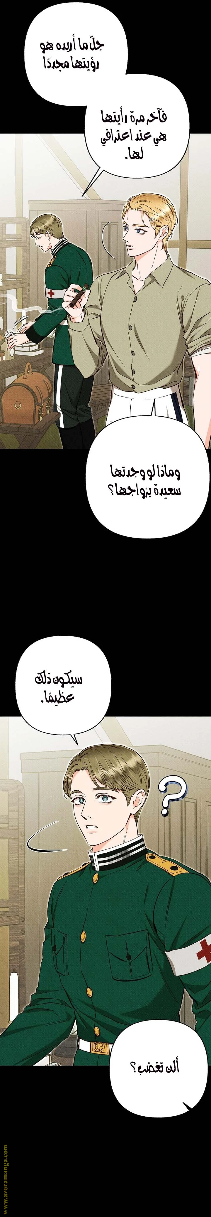 الصفحة 17