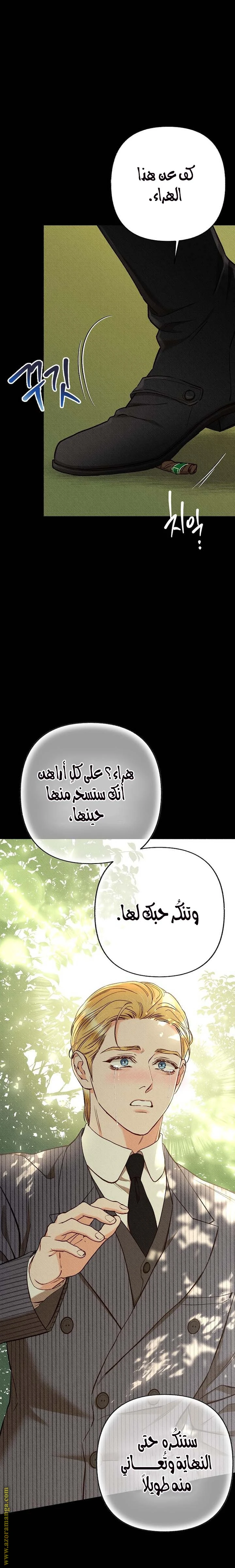 الصفحة 21