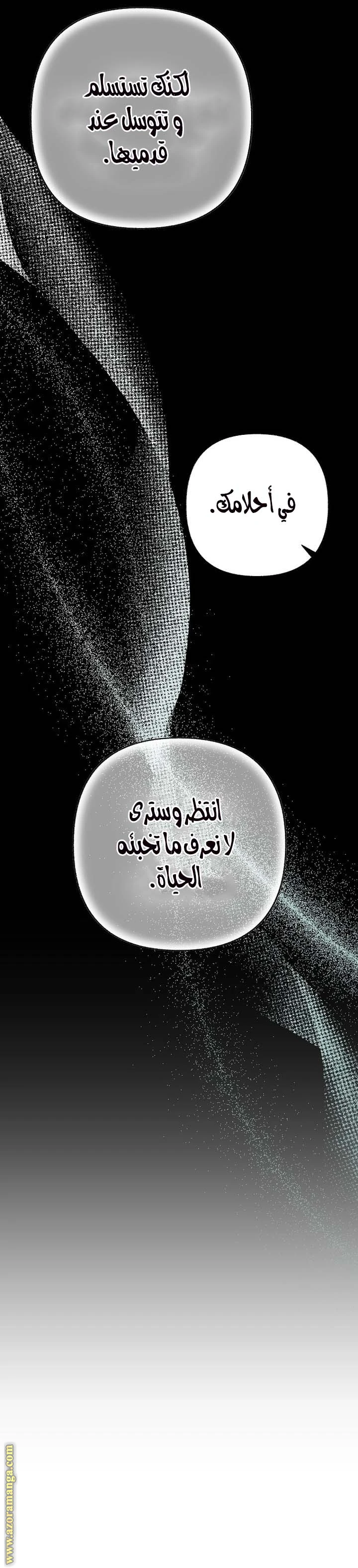 الصفحة 22
