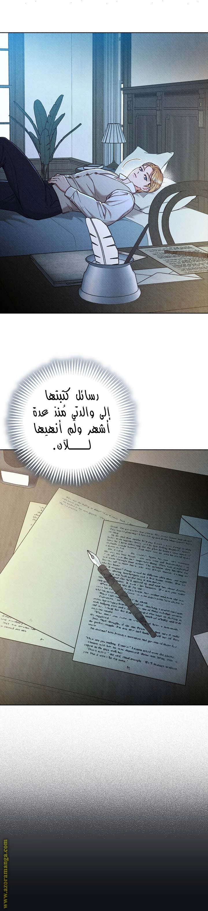 الصفحة 24