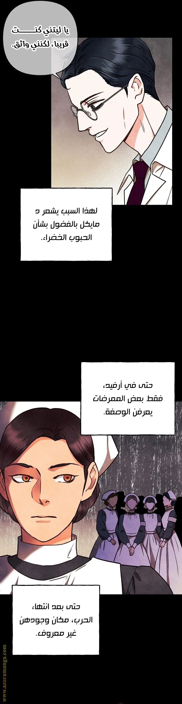 الصفحة 13