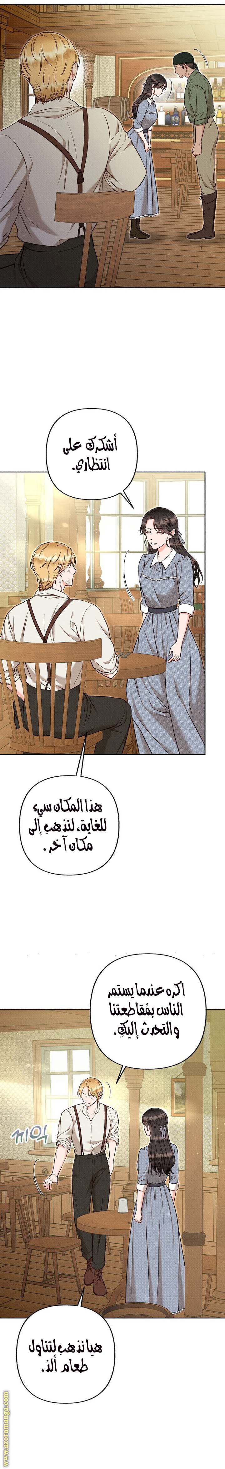 الصفحة 17