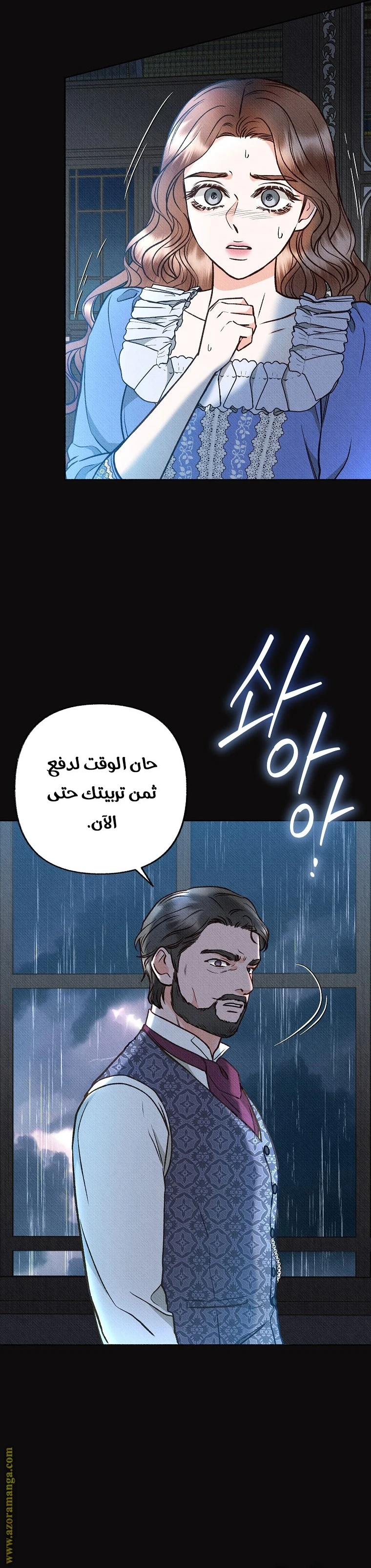 الصفحة 29