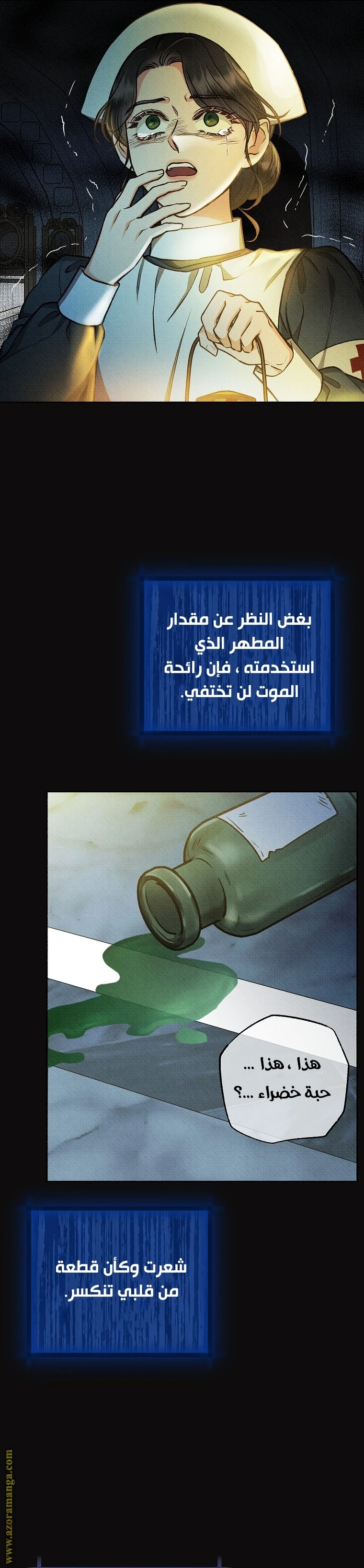 الصفحة 24