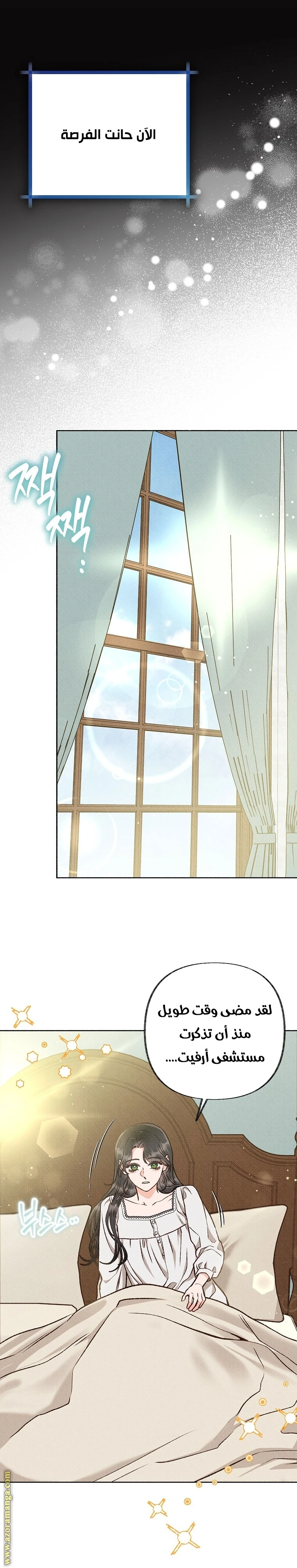 الصفحة 29