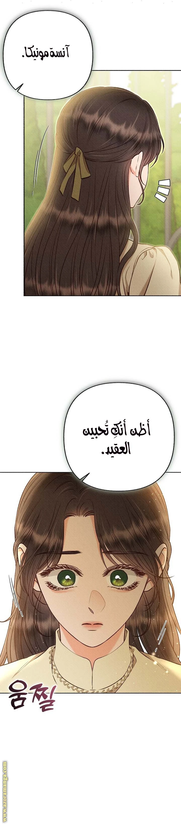 الصفحة 22