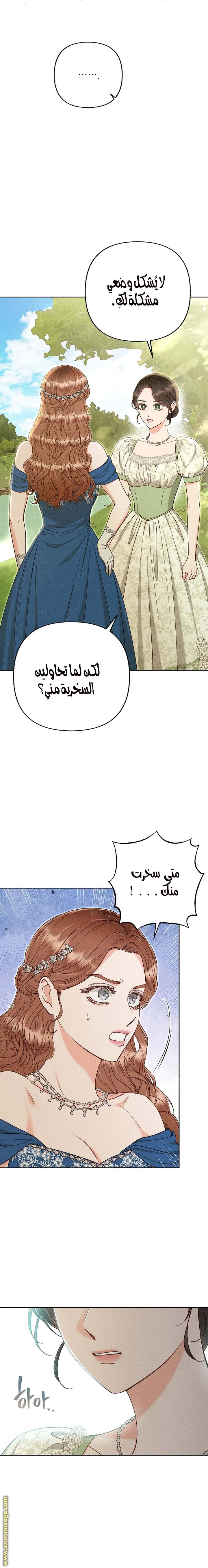 الصفحة 17