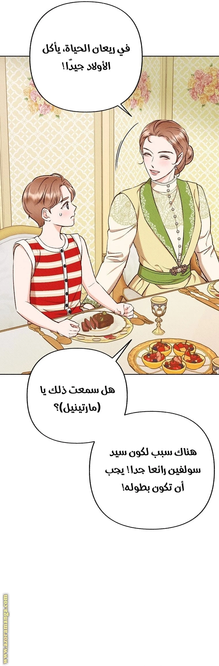 الصفحة 27