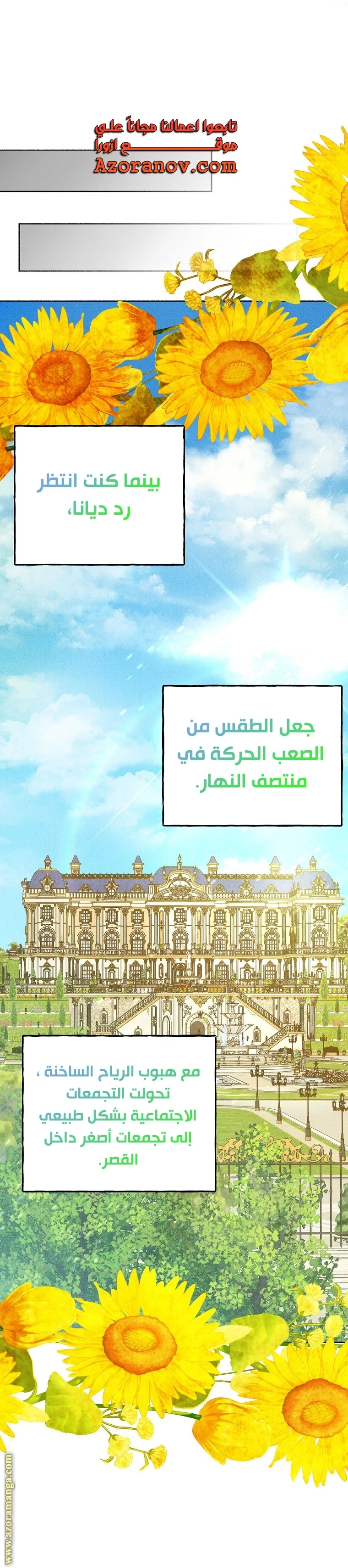 الصفحة 17