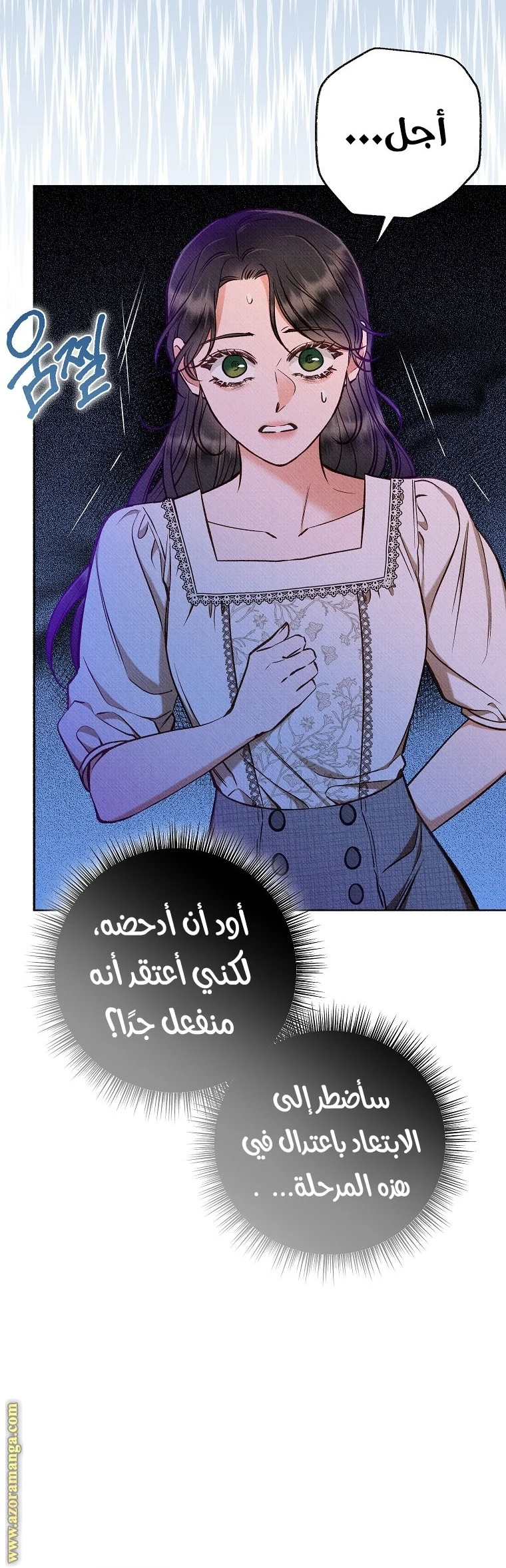 الصفحة 48