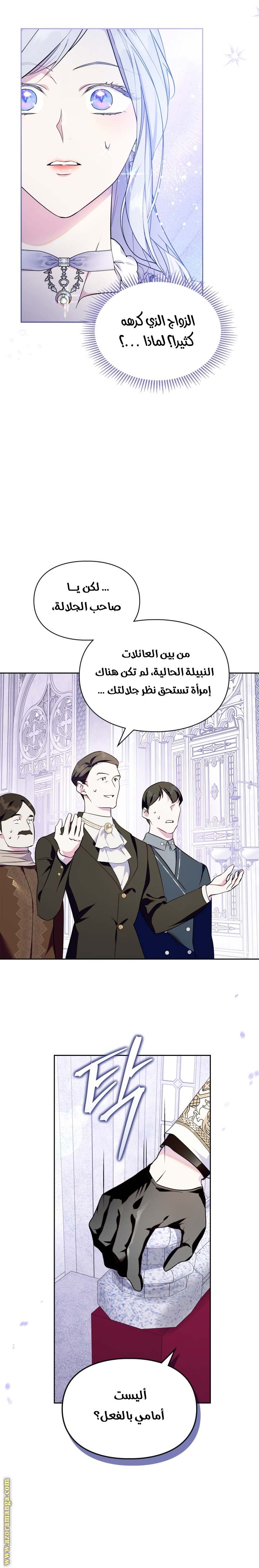 الصفحة 15