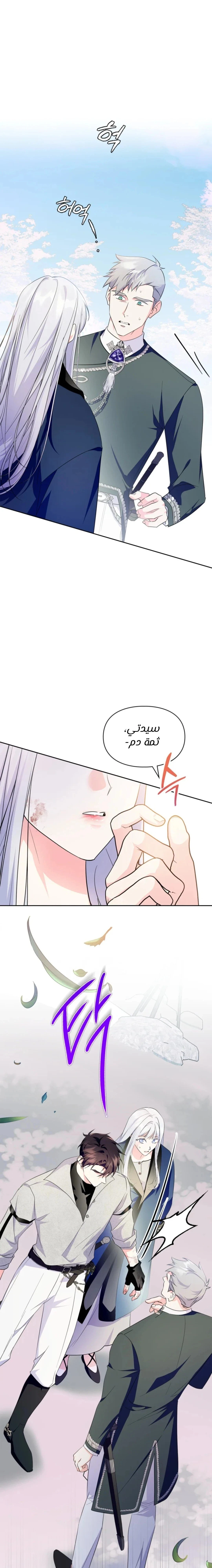 الصفحة 17