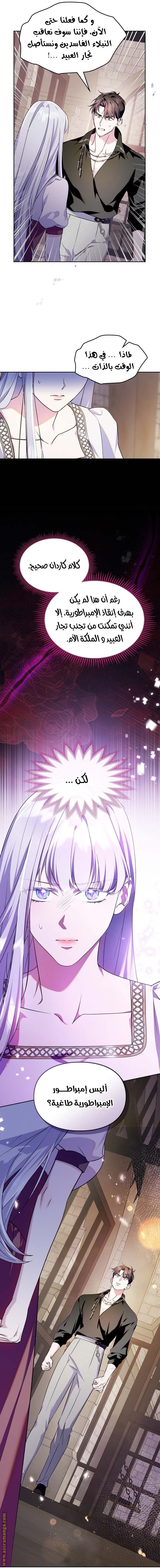 الصفحة 17