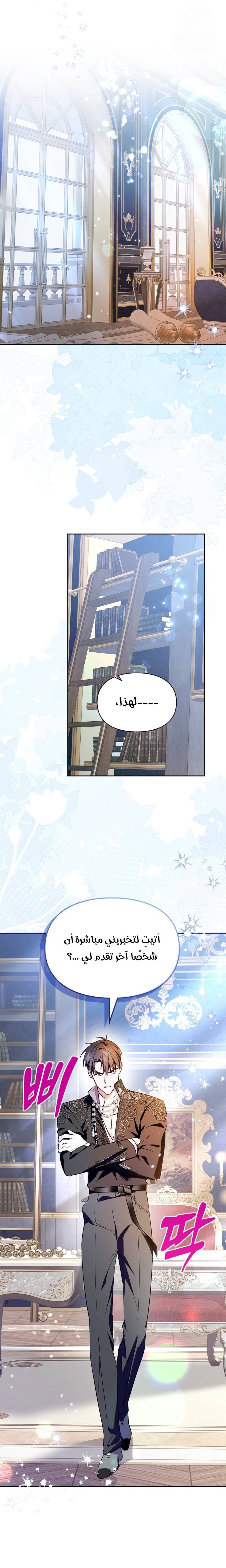 الصفحة 17