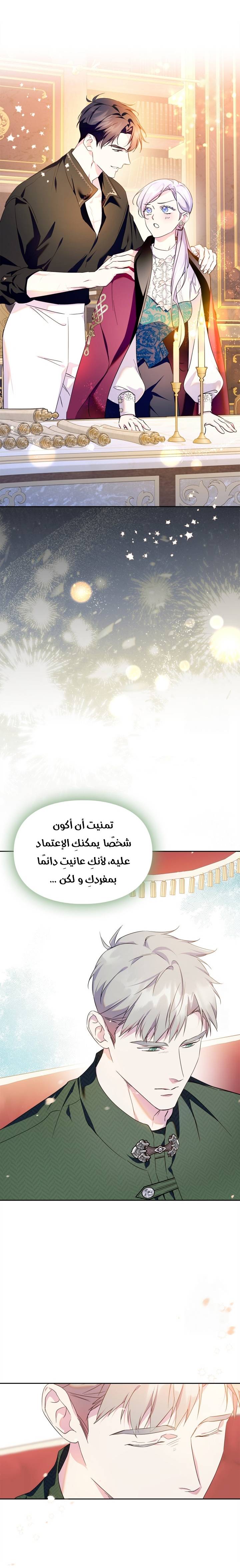 الصفحة 17