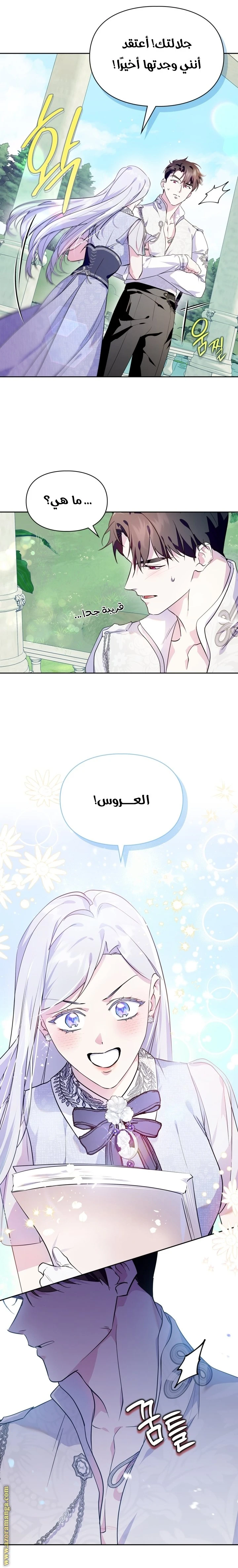 الصفحة 11