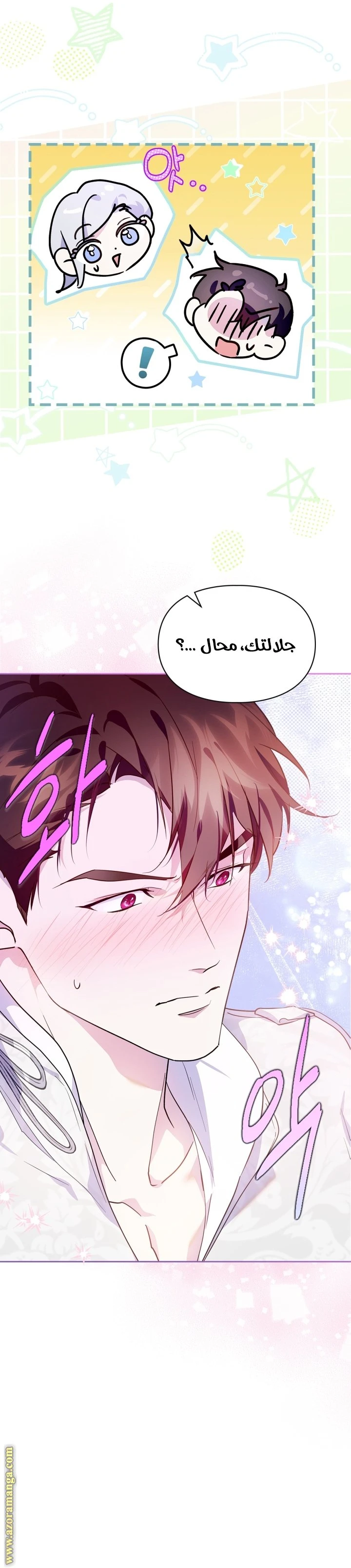 الصفحة 13