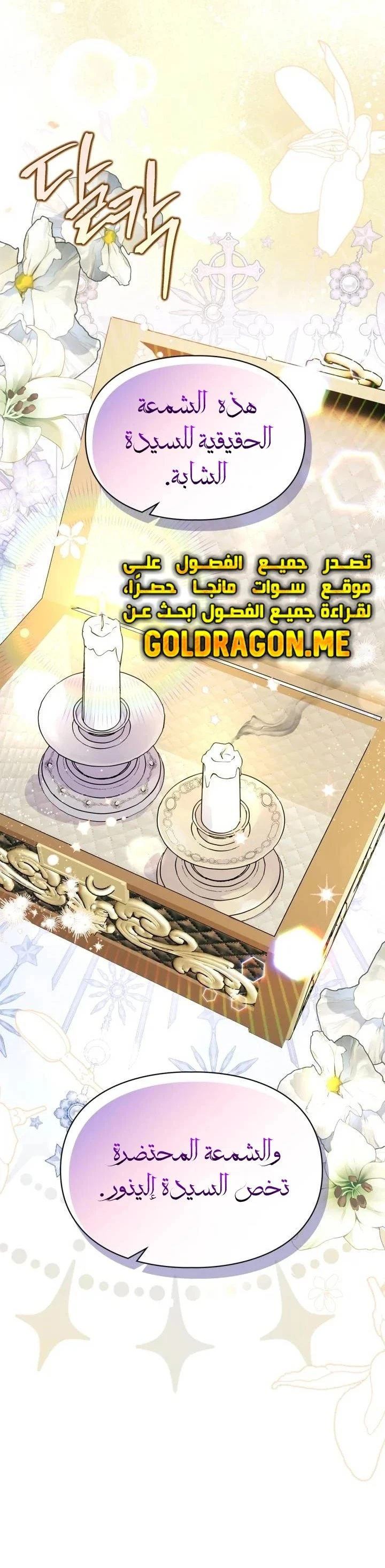 الصفحة 21