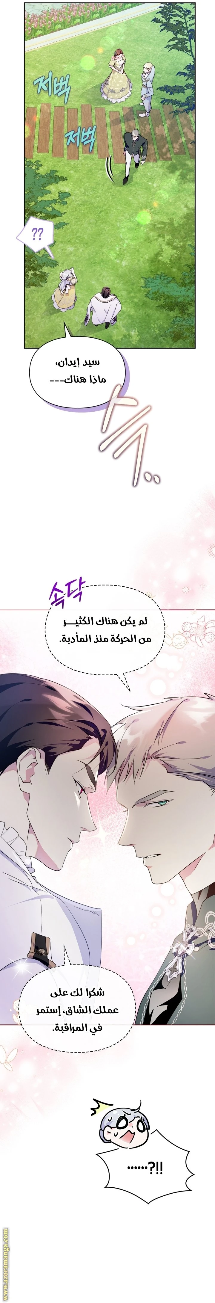 الصفحة 17
