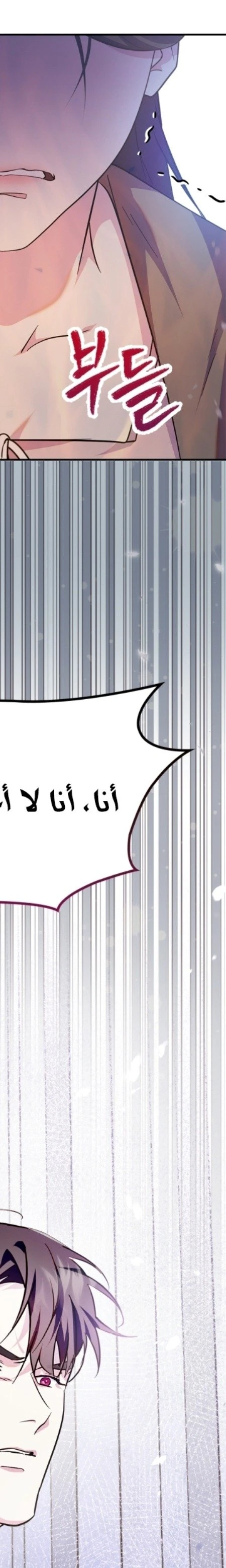 الصفحة 41