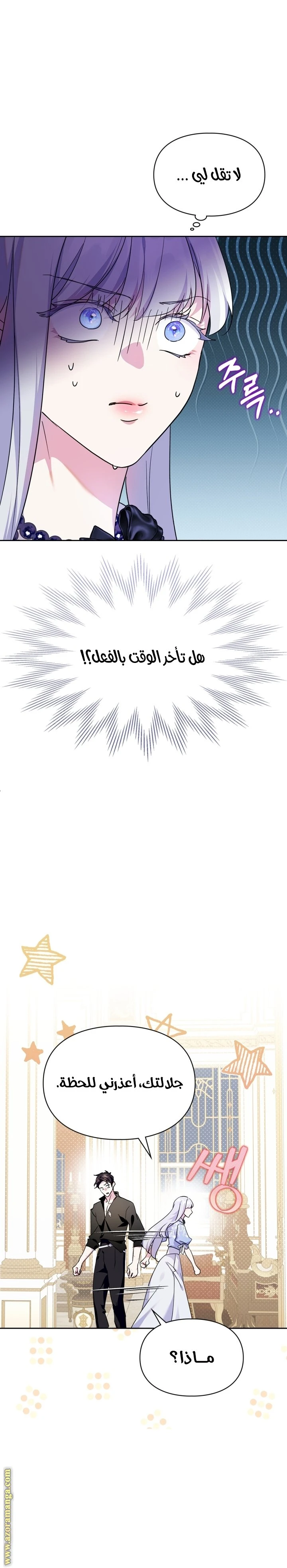 الصفحة 52