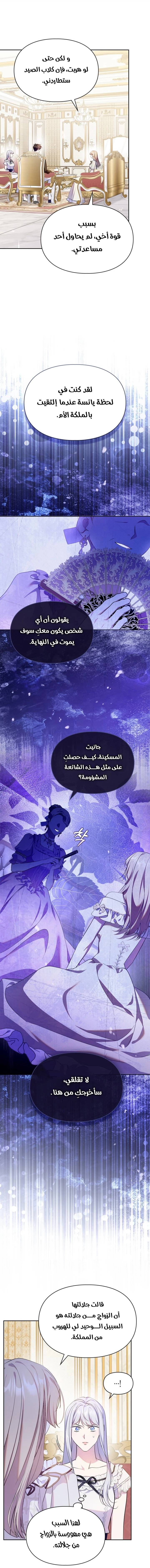 الصفحة 14