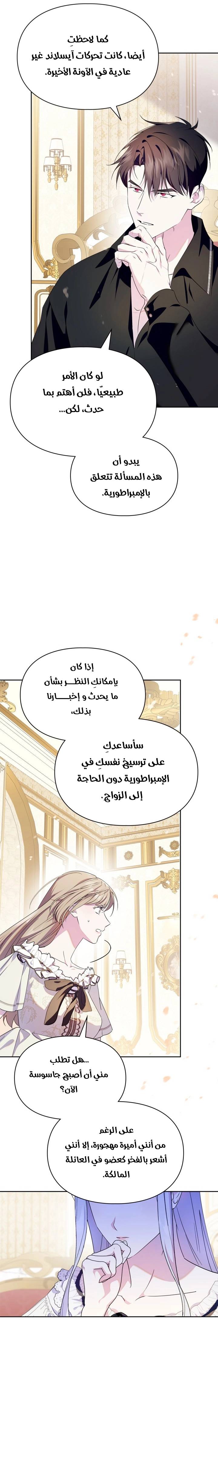 الصفحة 17