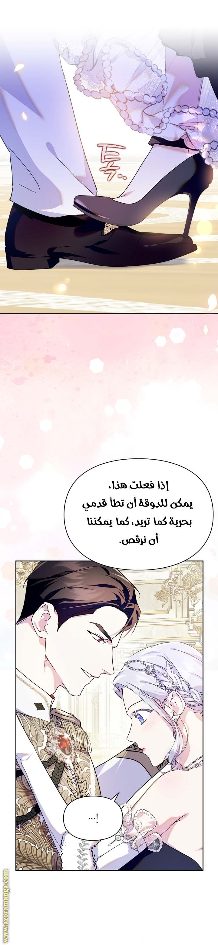 الصفحة 17