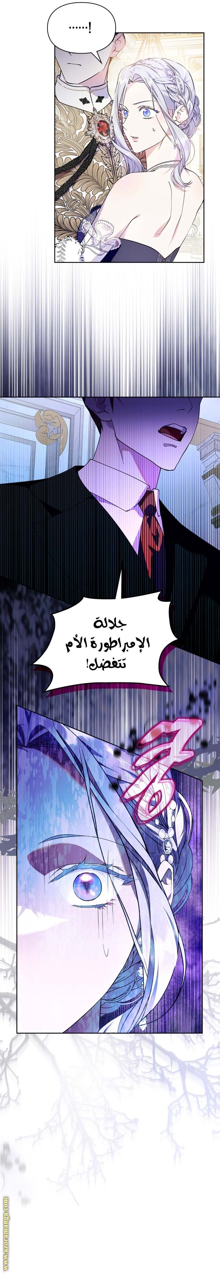 الصفحة 21