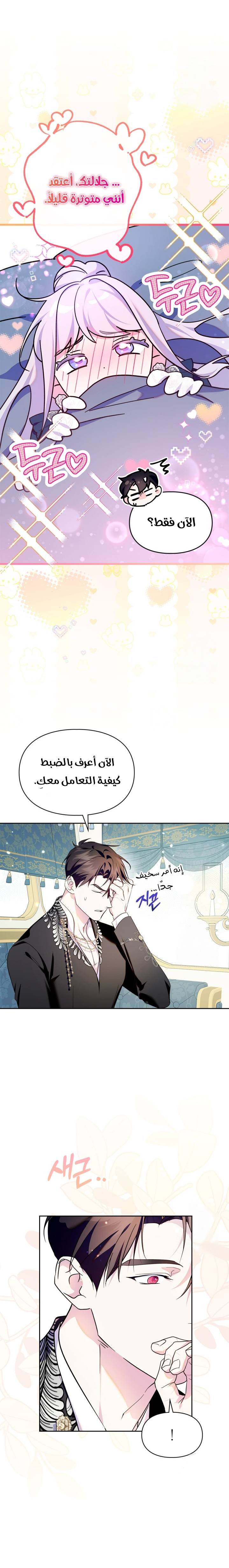 الصفحة 13